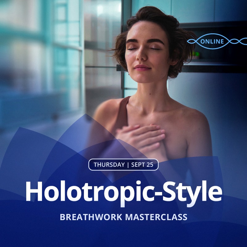 Holotropic Style product